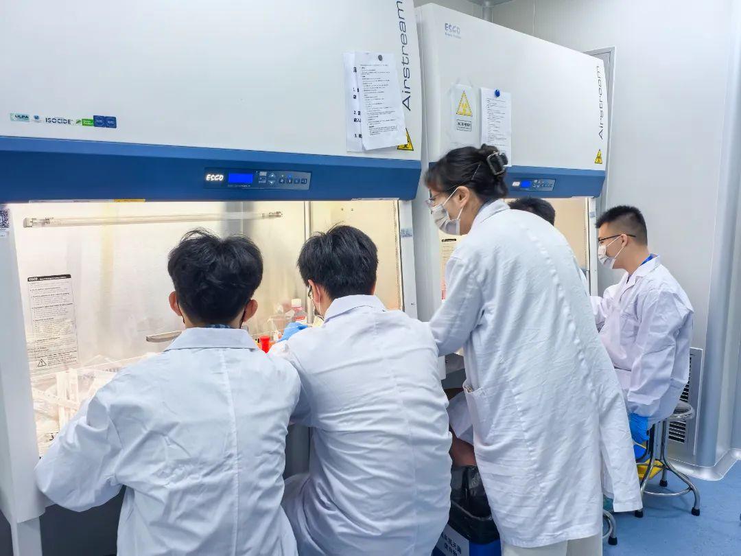 1744276262585046092.jpg 百家乐玩法介绍 - 百家乐技巧