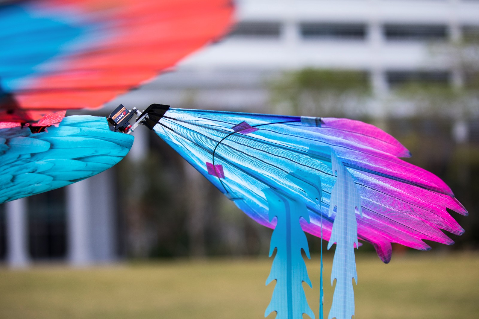 百家乐玩法介绍 - 百家乐技巧