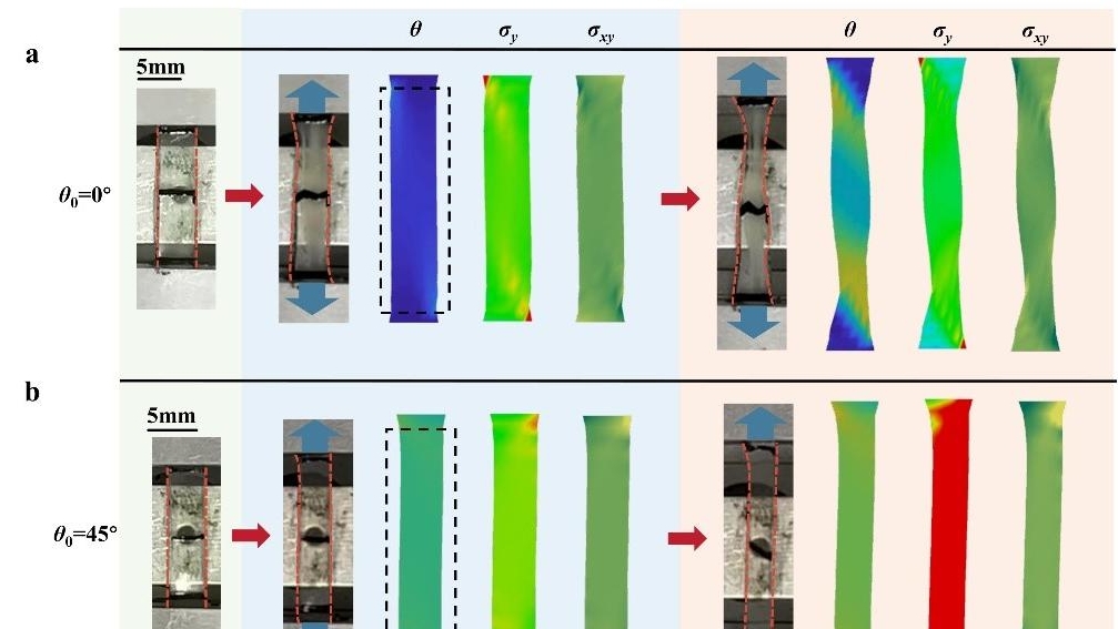 百家乐玩法介绍 - 百家乐技巧