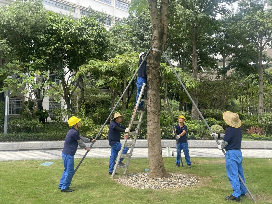 百家乐玩法介绍 - 百家乐技巧