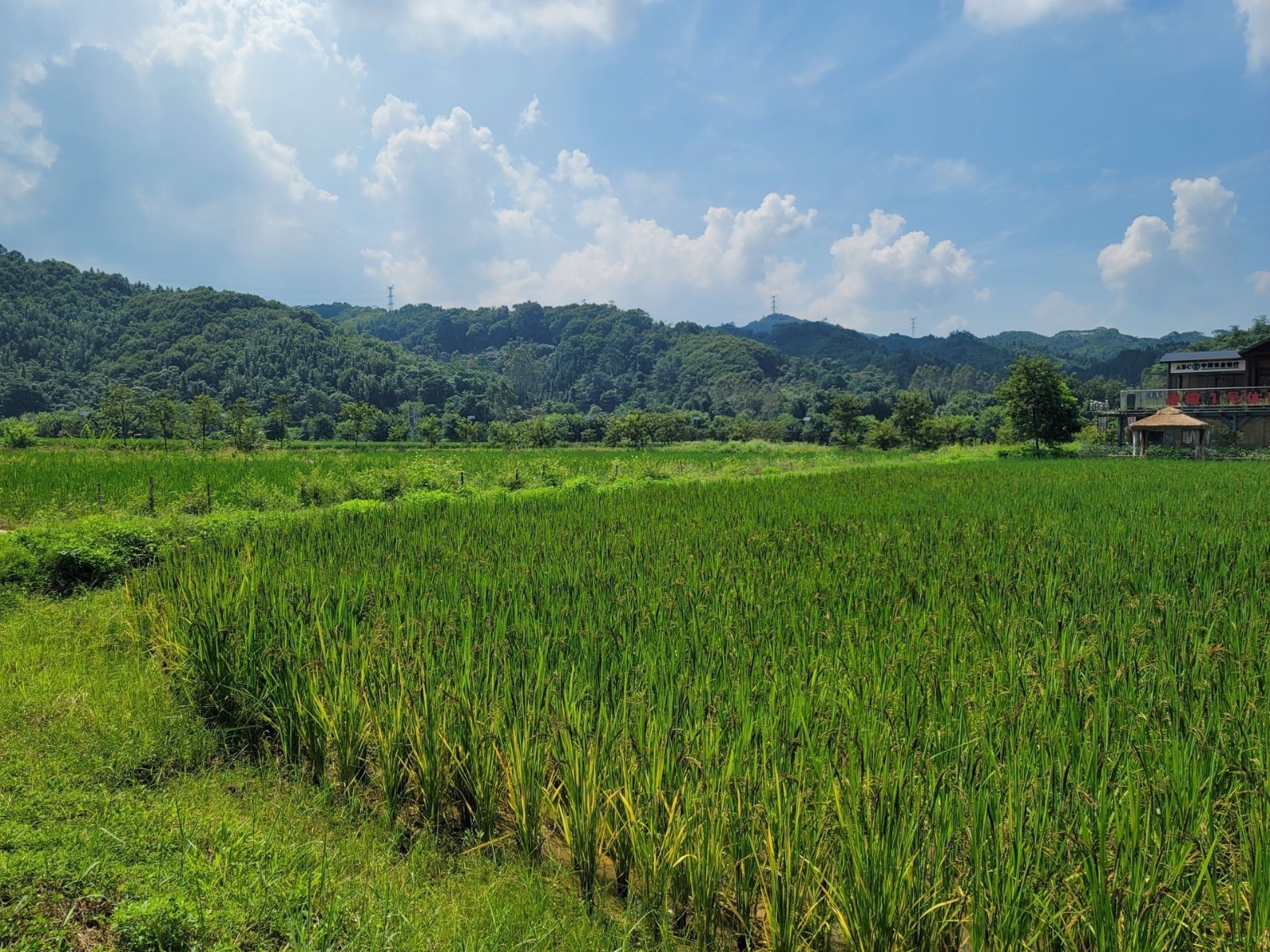 百家乐玩法介绍 - 百家乐技巧