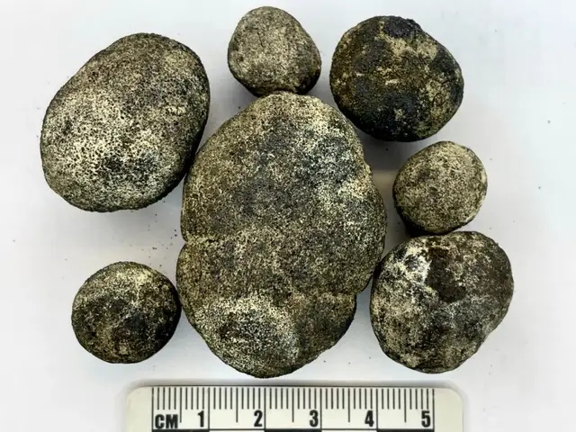 百家乐玩法介绍 - 百家乐技巧